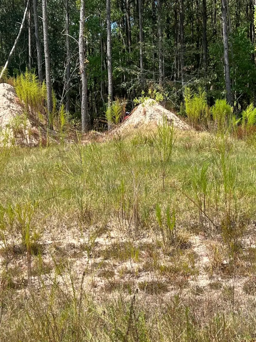 1317 Road 5890, Cleveland, TX 77327 - Image #2