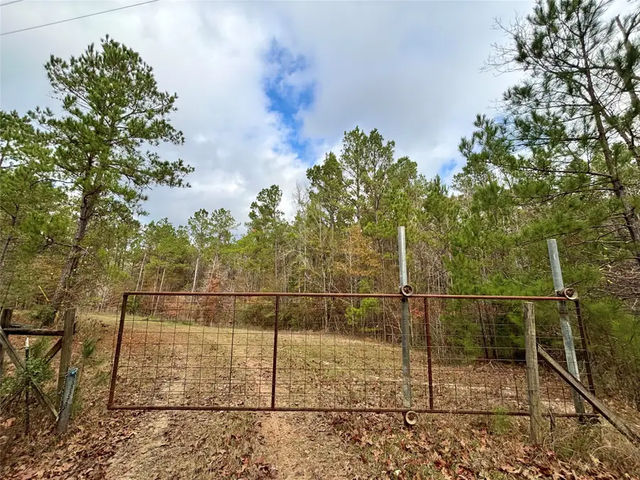 235 Private Road 6912, Colmesneil, TX 75938 - #3