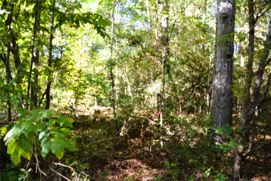 TBD Forester, Livingston, TX 77351 - #3