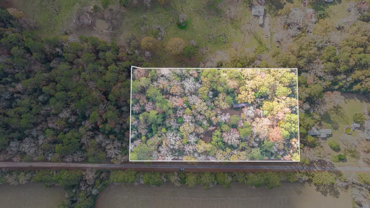 162 Meadow Ln, Livingston, TX 77351 - Image #1