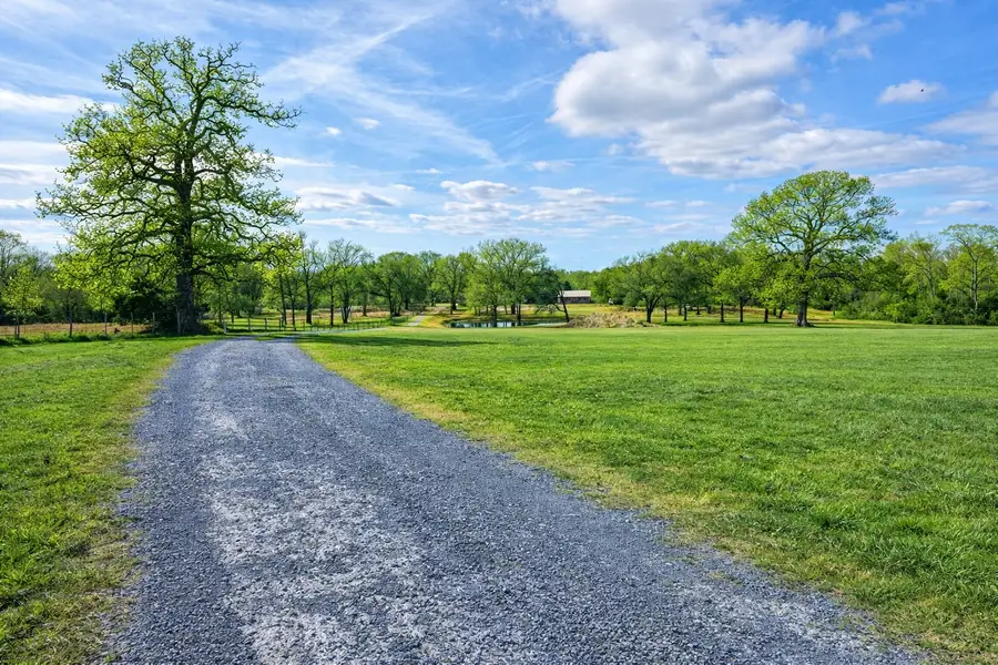 7210 County Road 2761, Buffalo, TX 75831 - Image #3