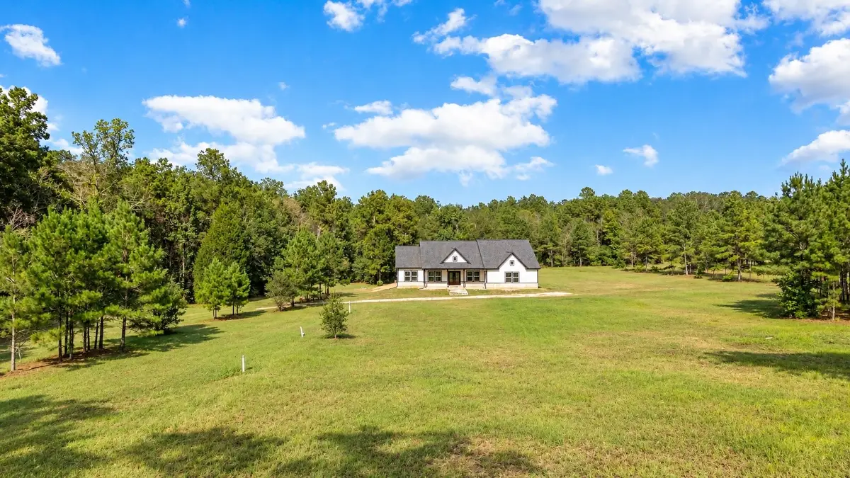 21203 Peach Wood Court, Cleveland, TX 77328 - #1