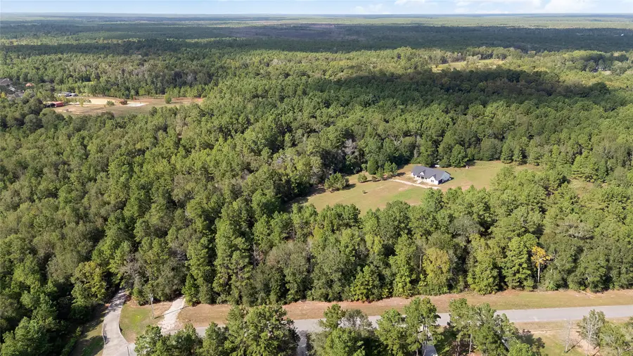 21203 Peach Wood Court, Cleveland, TX 77328 - #3