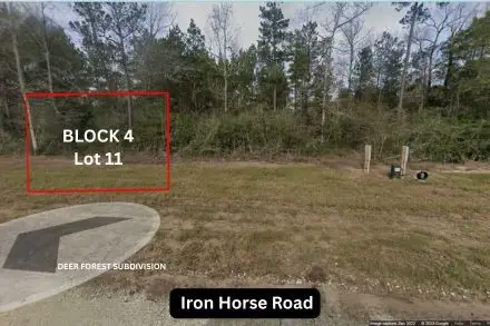 305 Iron Horse Road, Willis, TX 77378 - Image #3