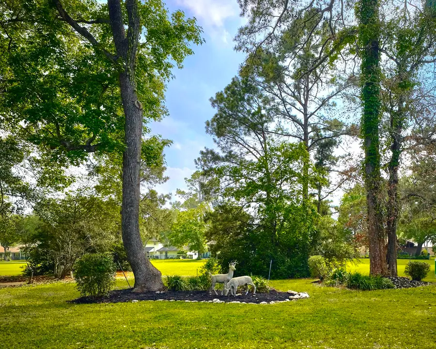 13127 Paradise Valley Drive, Houston, TX 77069 - #3