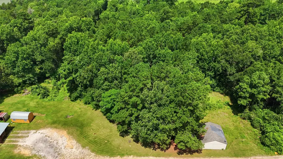 158 Hilltop Drive, Coldspring, TX 77331 - #3