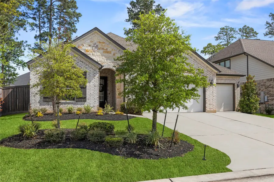168 Gray Pine Grove Way, Conroe, TX 77318 - #2