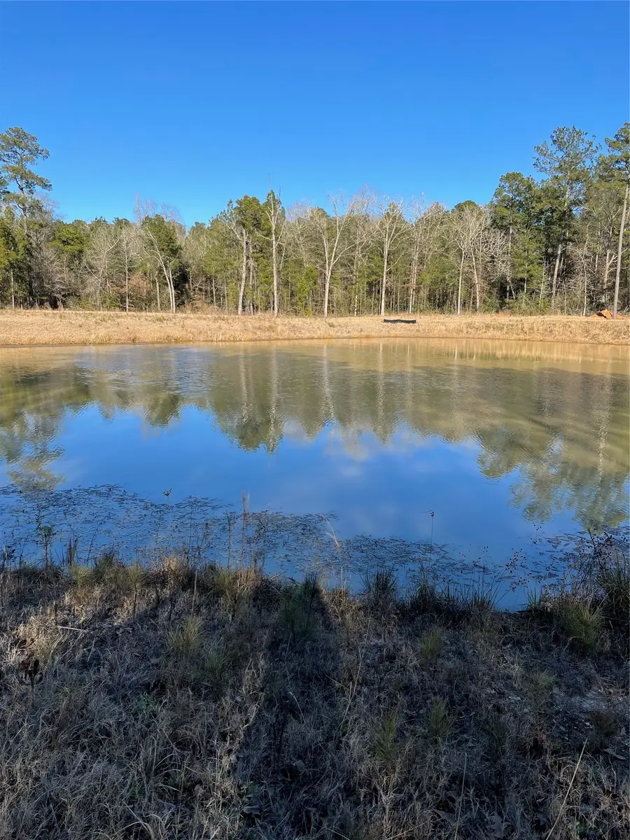 00 Saratoga Woods, Montgomery, TX 77316 - #2