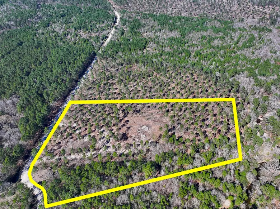 2 Boontown Road, Trinity, TX 75845 - #2