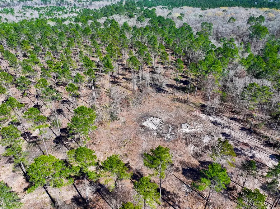 2 Boontown Road, Trinity, TX 75845 - #3