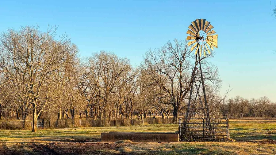 1458 Fm-1458, Pattison, TX 77423 - #2