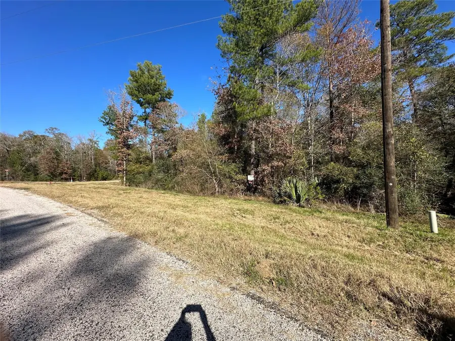 2-6-68 Hereford Trail, Huntsville, TX 77340 - Image #3
