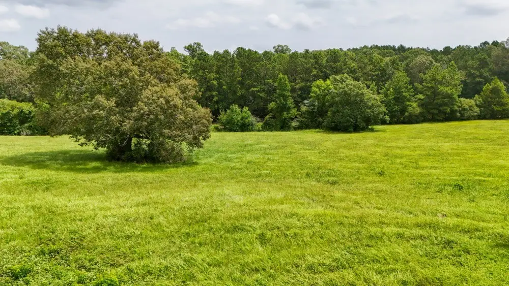 00 County Rd 2780, Colmesneil, TX 75938 - #1