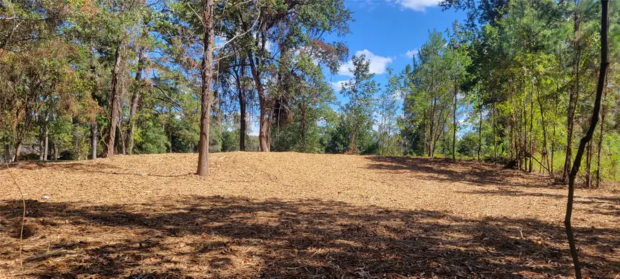 735 Stonewall Jackson Drive, Conroe, TX 77302 - #2