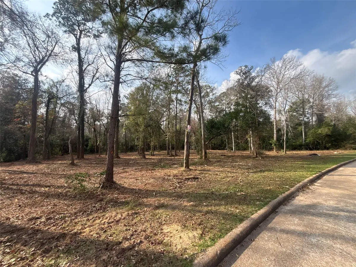 1746 Woodway Drive, Woodbranch, TX 77357 - #1