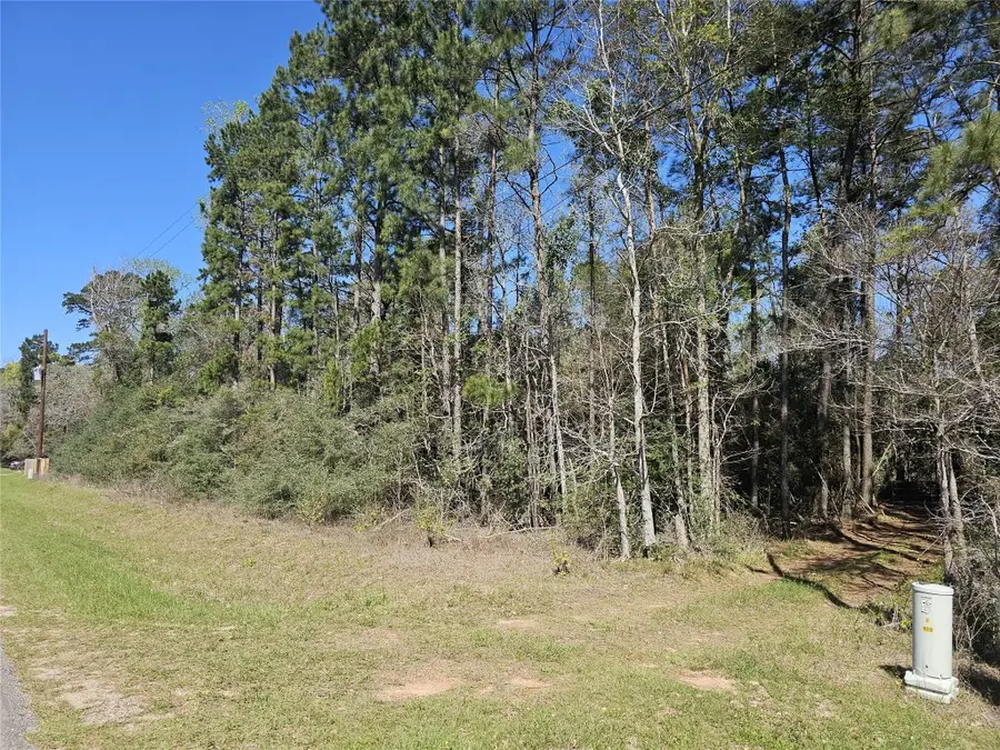 180 Hall Drive S, Montgomery, TX 77316 - #2