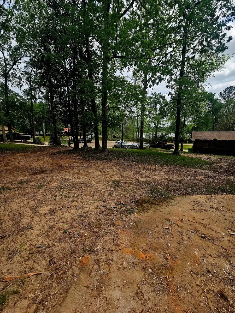 13095 Royal Shores Drive, Conroe, TX 77303 - #2