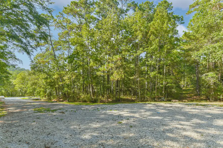 14 & 10 Victoria Court, Coldspring, TX 77331 - #2