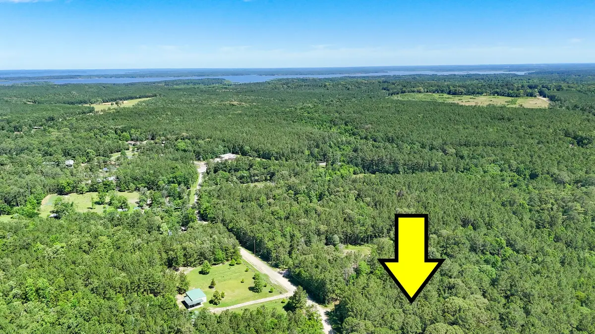 00 Grey Fox Ln, Brookeland, TX 75931 - #1