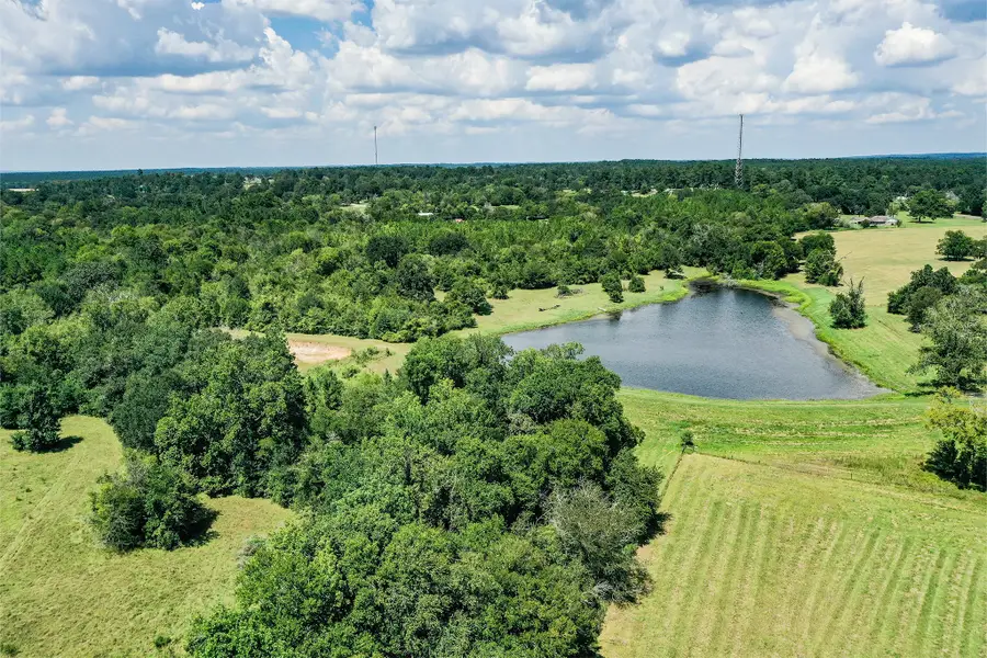 150 Acres Fm 1374, Huntsville, TX 77340 - #2