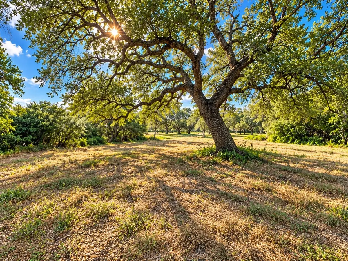6122 Sand Rock Road, La Grange, TX 78945 - #1