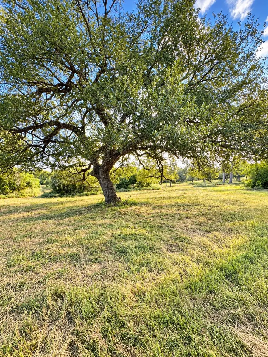 6122 Sand Rock Road, La Grange, TX 78945 - #3