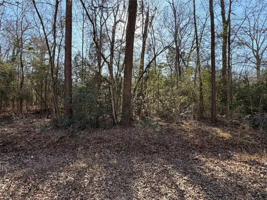 0 Kelly Drive, Trinity, TX 75862 - #2