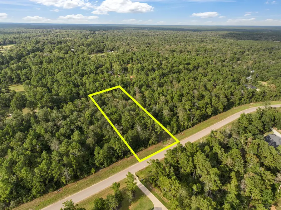 15824 Republic Ranch Road N, Willis, TX 77378 - #3