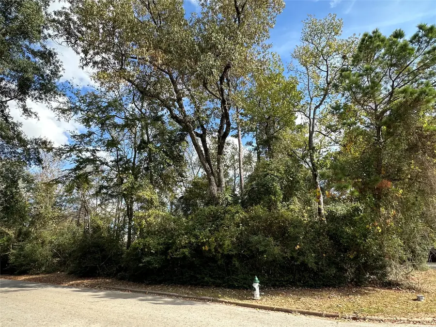 218 Broadmoor Drive, Huntsville, TX 77340 - Image #3