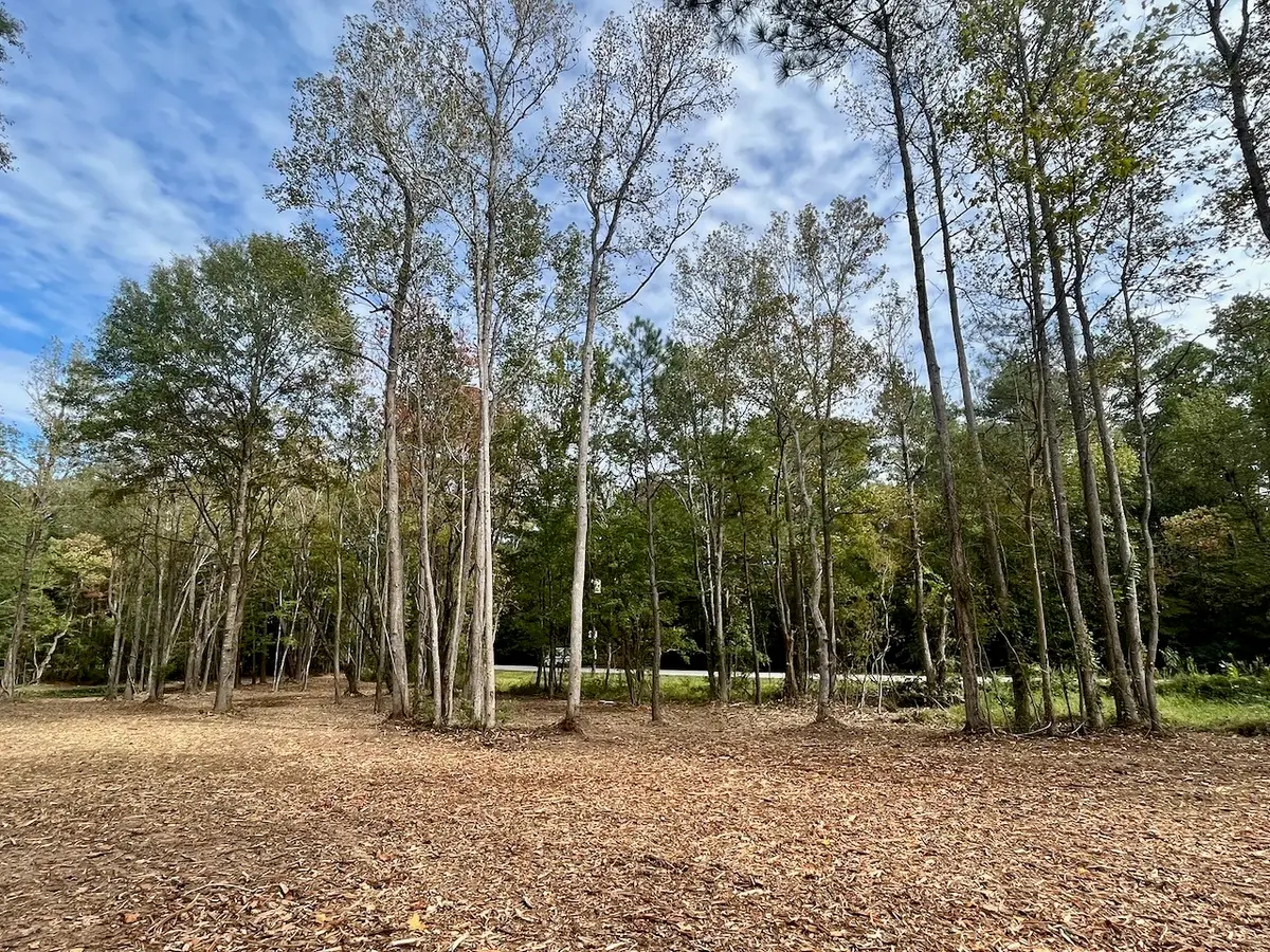 10690 Waukegan Road, Conroe, TX 77306 - Image #1