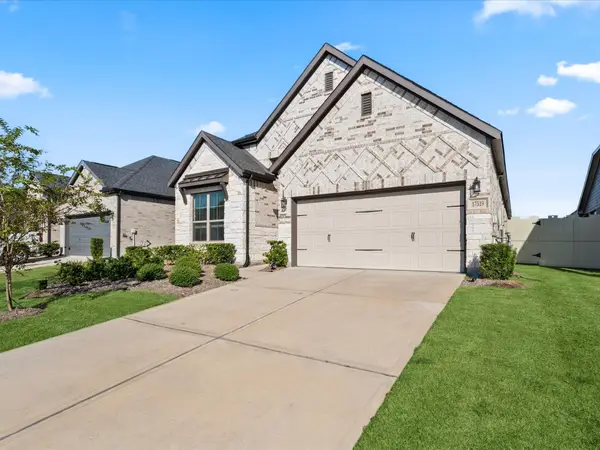 17519 White Baneberry Drive, Conroe, TX 77385