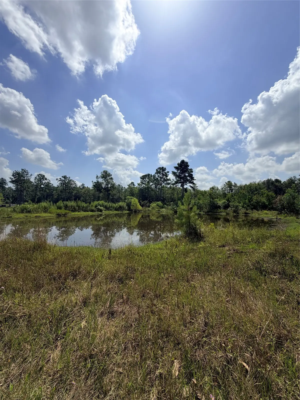 385 County Road 3773, Cleveland, TX 77327 - #1