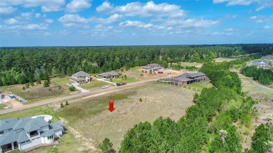 18513 Michaels Run, Montgomery, TX 77316 - #2