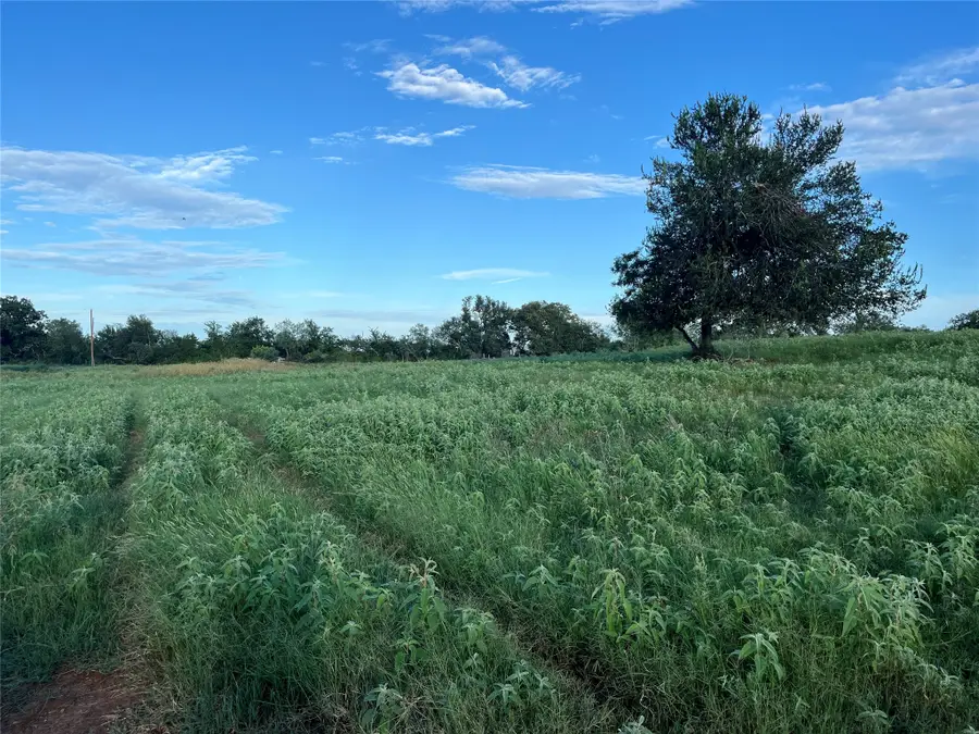 1018 Red Town Rd, Elgin, TX 78621 - #2