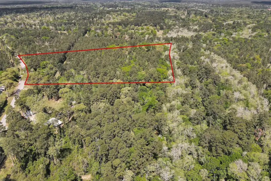 14869 County Line Road, Willis, TX 77378 - #2