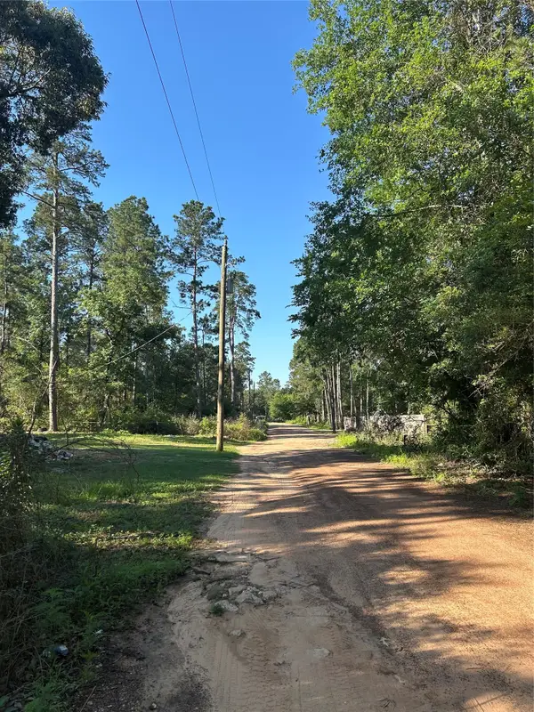 TBD White Oak Drive, Plantersville, TX 77363