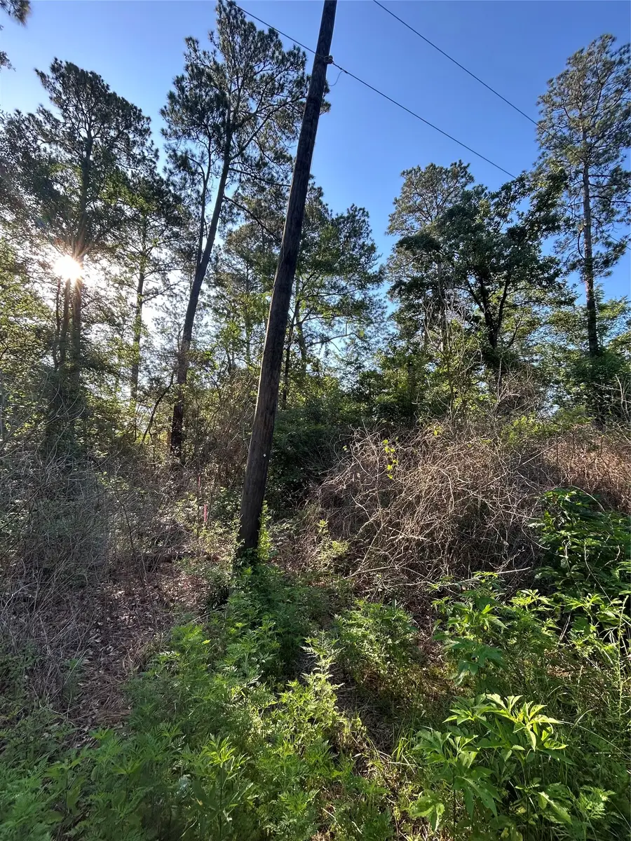 TBD White Oak Drive, Plantersville, TX 77363 - #2