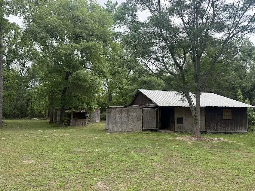 19761 Harris Lane, Montgomery, TX 77316 - #1