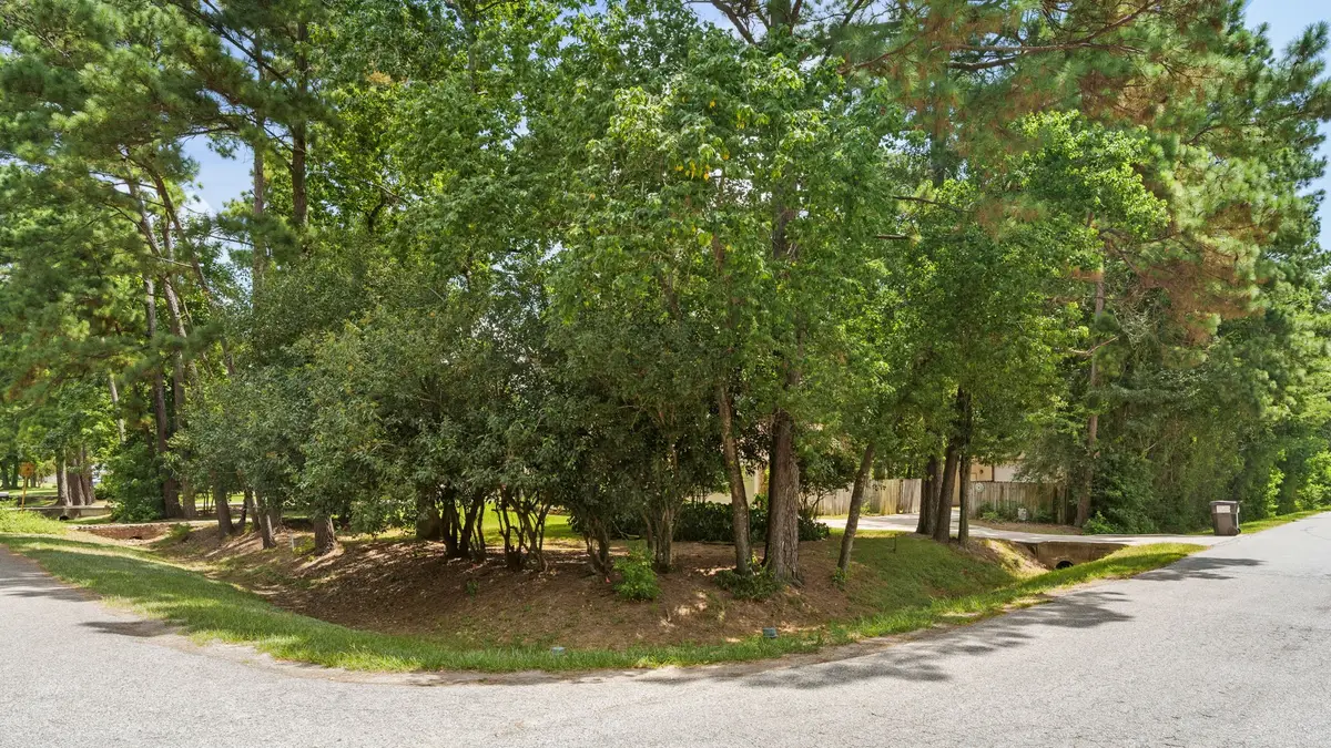 402 Fairbanks Drive, Magnolia, TX 77354 - #1