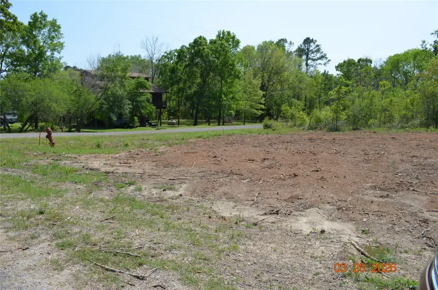 TBD Laurel Drive, Livingston, TX 77351 - #3