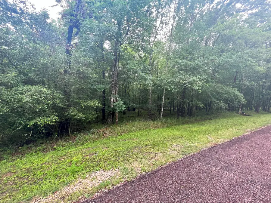 74 S Royale Greens Drive, Coldspring, TX 77331 - #2