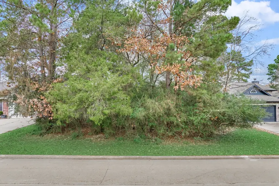 12614 Brightwood Drive, Montgomery, TX 77356 - #3