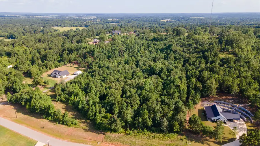 16911 Ridgeline Loop, Winona, TX 75792 - #2