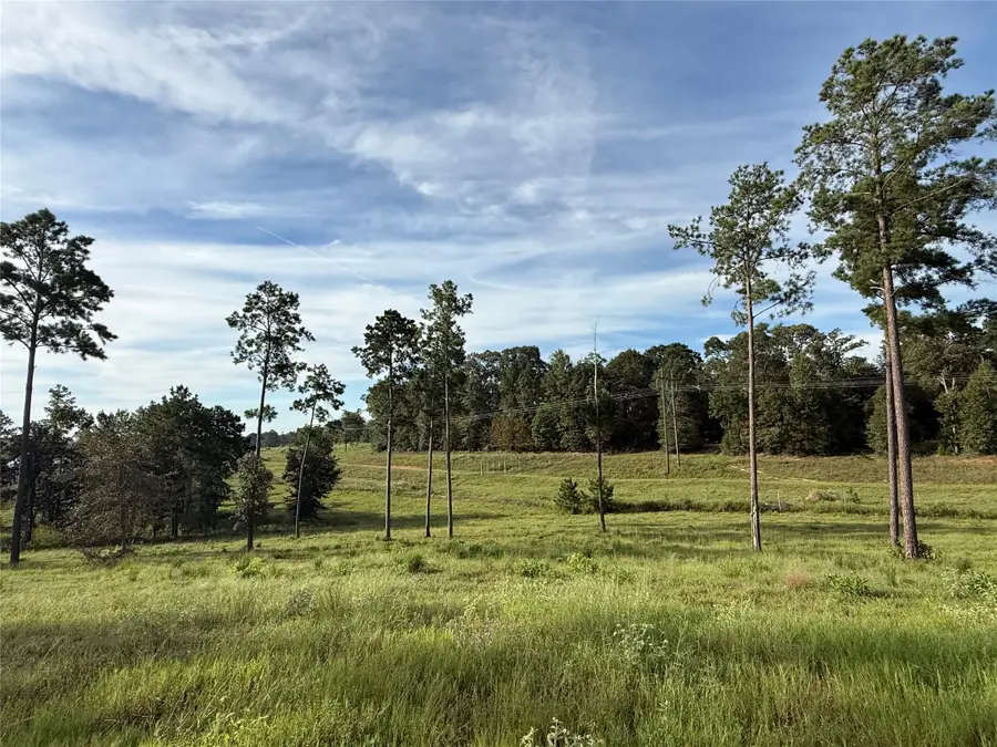 TBD Anna Grace, Livingston, TX 77351 - #3