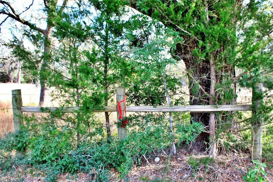 000 Kearney Drive, Columbus, TX 78934 - #3