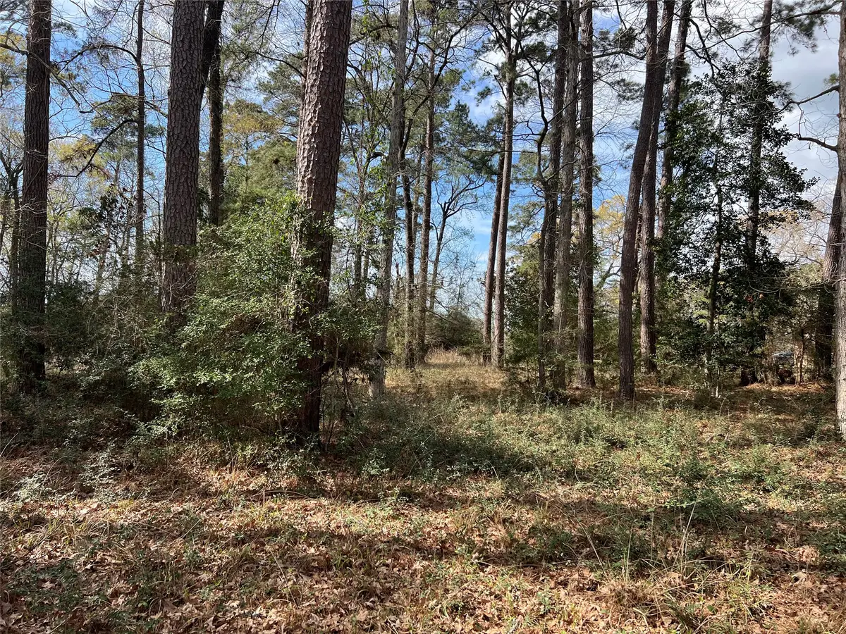 TBD 350 North, Livingston, TX 77351 - #1