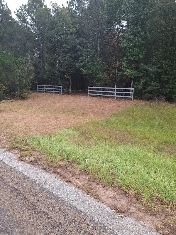 TBD Highway 190, Woodville, TX 75979