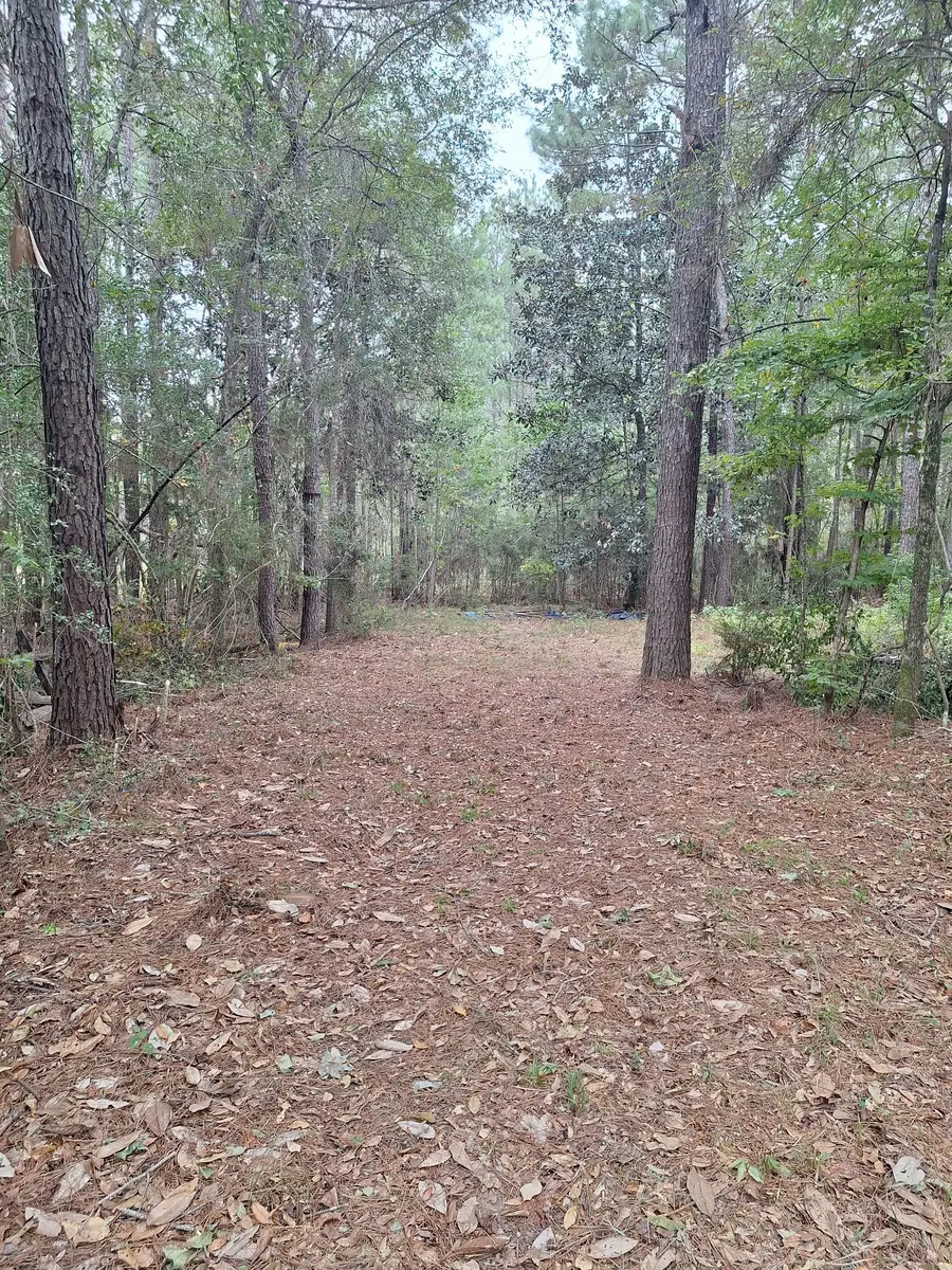 TBD Highway 190, Woodville, TX 75979 - #3