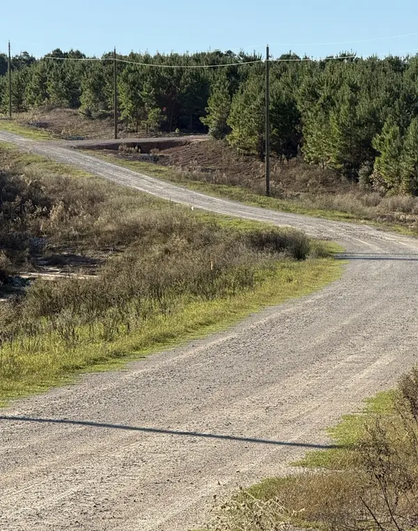 TBD Blackjack Road, Livingston, TX 77351