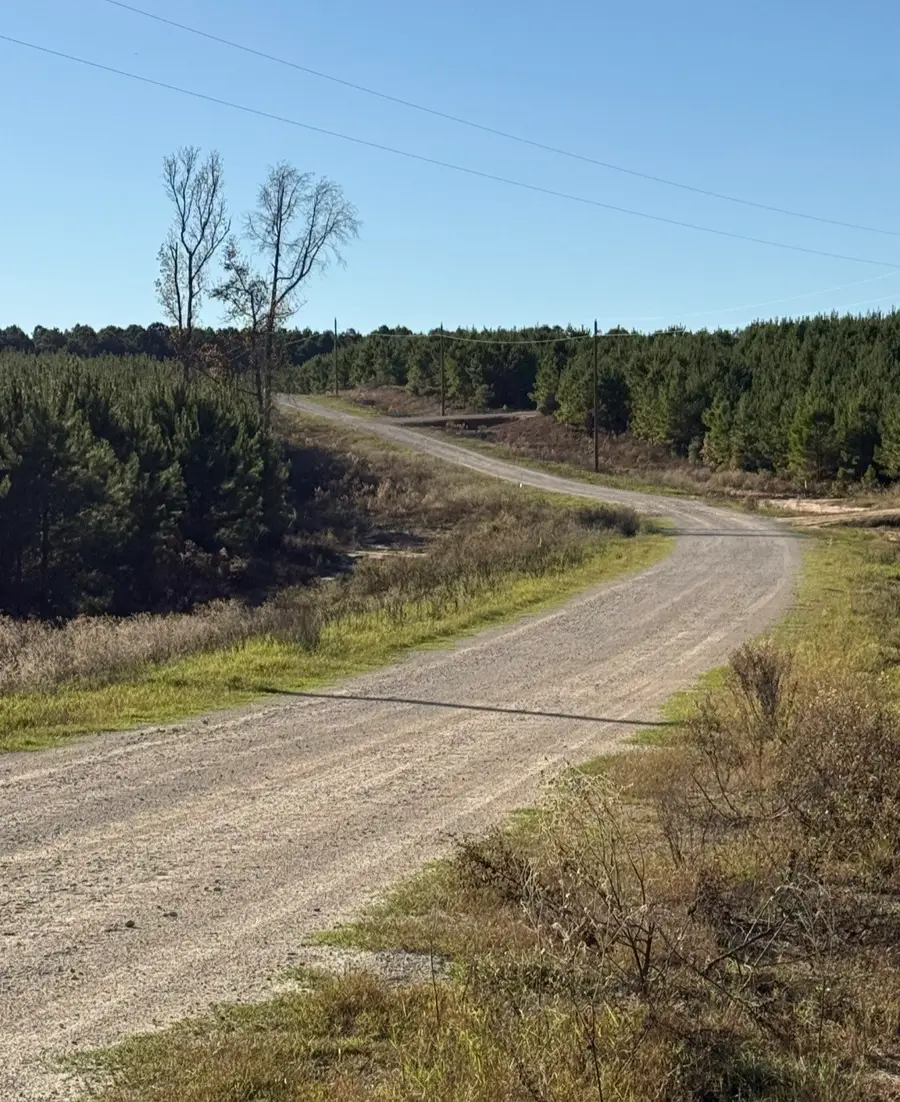 TBD Blackjack Road, Livingston, TX 77351 - Image #2